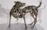 Dog 10