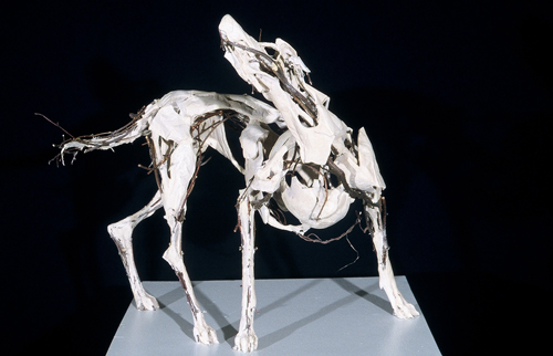Dog 9