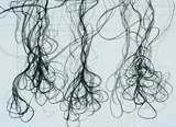 Untitled Drawing
